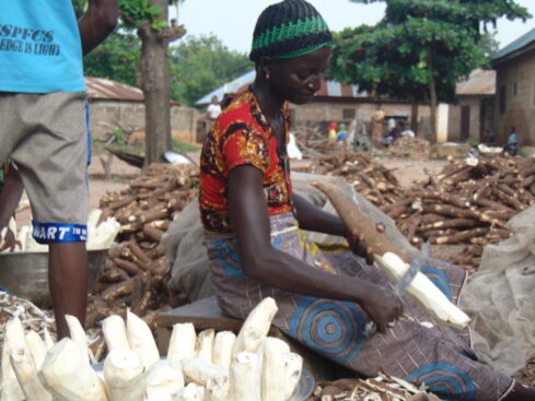 the slow task of peeling cassava