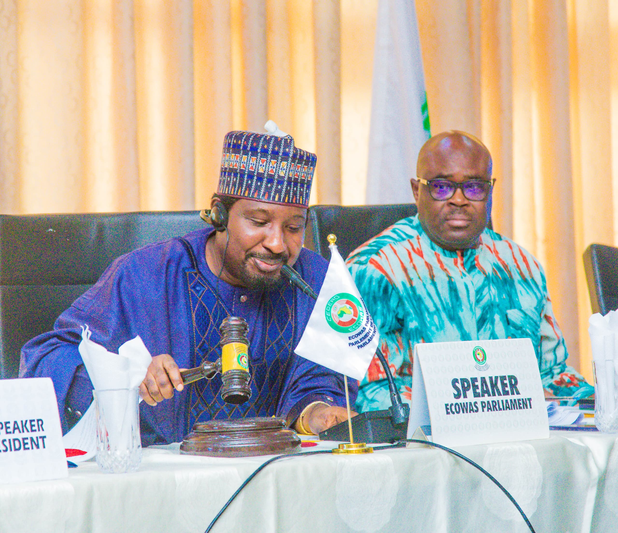 ECOWAS Parliament: Barau advocates collaboration to promote democracy