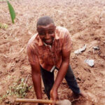 jonah iornondu getting his field ready for cultivation