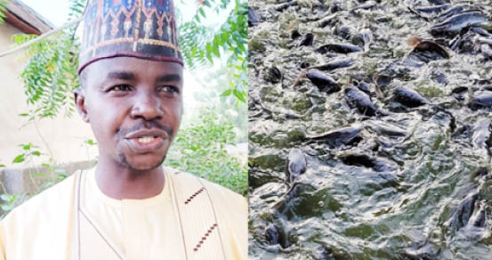 I earned N1m from fish farming in 2023 – Civil servant