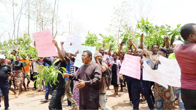 Protesters seek enforcement of Benue’s anti-open grazing law