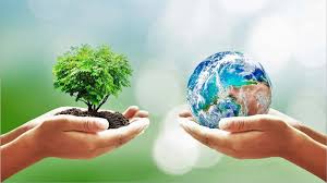 Building a culture of environmental sustainability in Nigeria