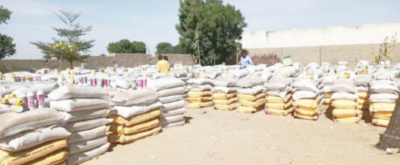 One year anniversary: Tinubu’s quest to boost agriculture for food security