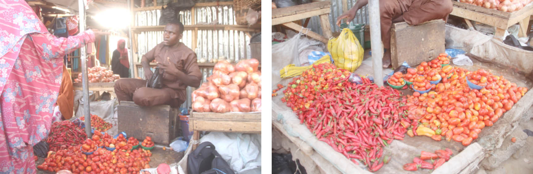 prices of vegetables surge in maiduguri2