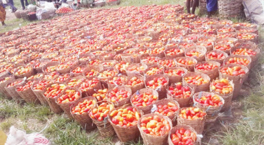 Tomato, pepper prices continue to swell as consumers face tough choices