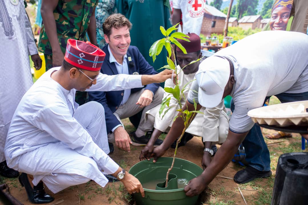 Climate change: Kano govt warns against illegal tree cutting