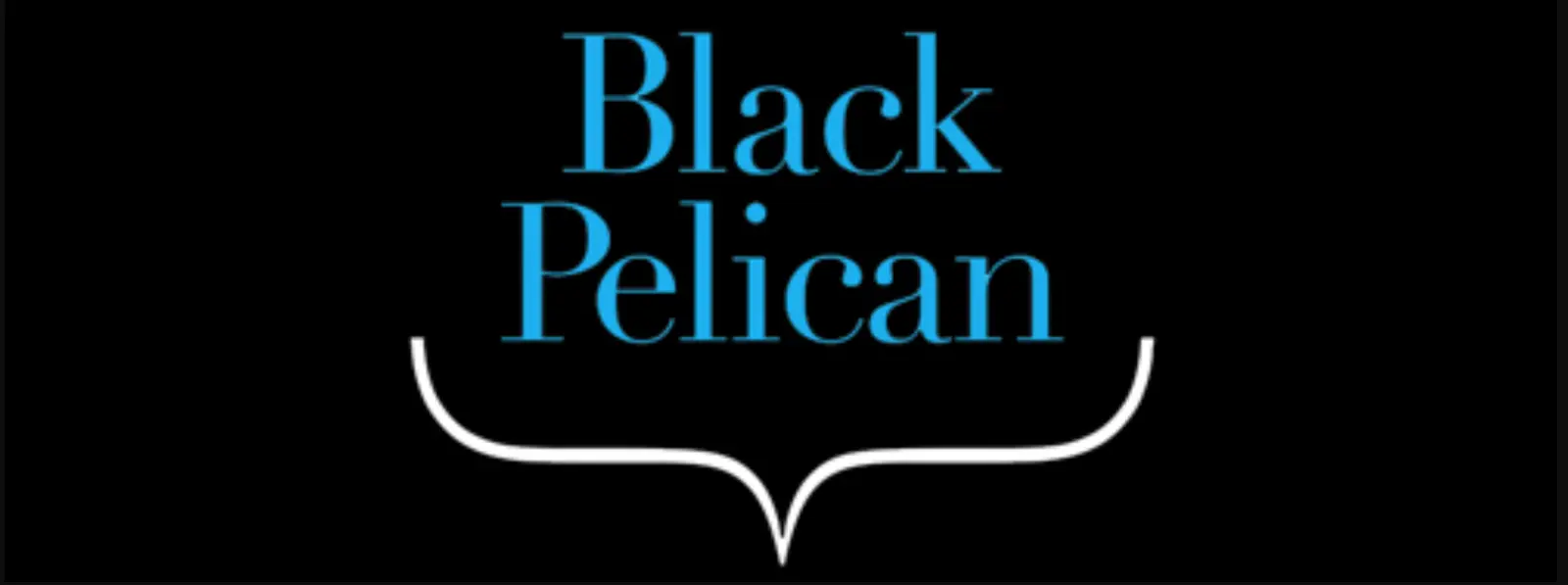 Black Pelican celebrates 20 Years of Interior solutions