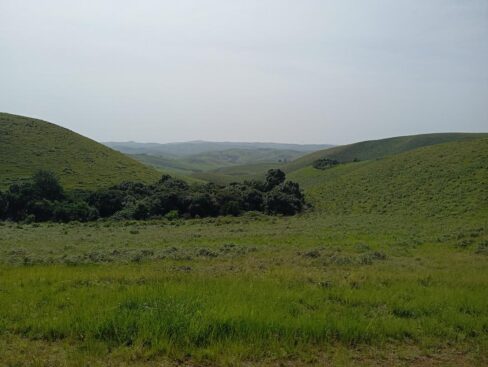 scenic gembu hosts a variety of languages, including fulfulde, which lies at the summit of daily communication