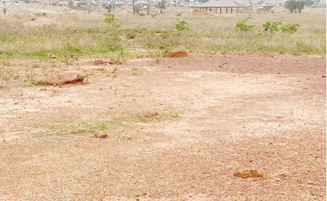 the current view of presumed site of 347 mass grave at batul cemetery, mando photo muslimyusuf weekend trust