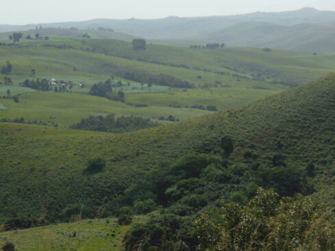 gembu is a magnet to tourists, adventurers, nature lovers