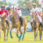 kano, argungu, yola prepare for 2024 polo festivals