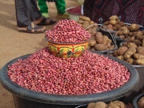 red beans are widely grown and eaten on the mambilla plateau