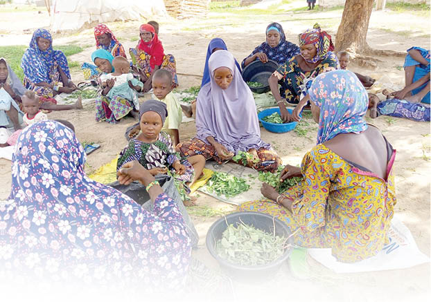 A day with Yobe’s displaced persons