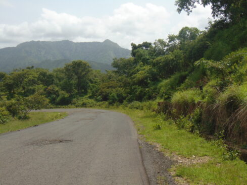 view of the green countryside