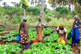 Stakeholders seek smaller tractors, other agricultural support for women farmers