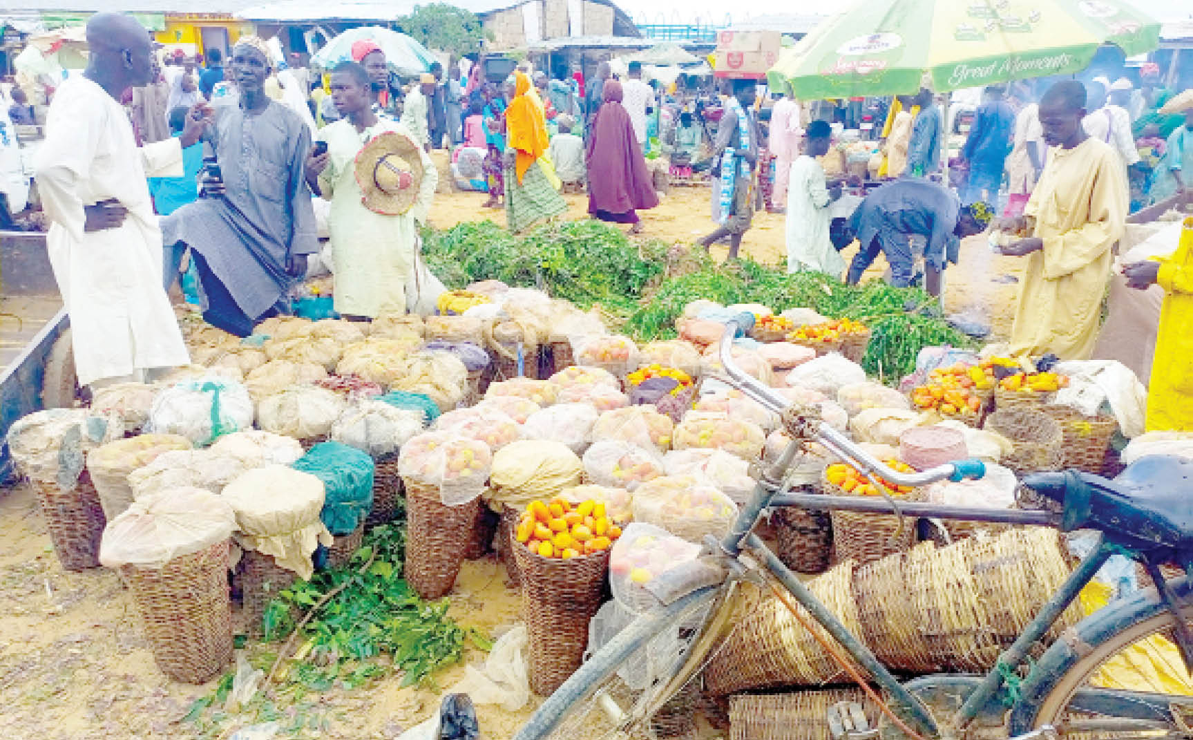 Badume: Kano market where onions attract foreigners