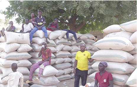 Dealers track farmers door-to-door to buy grains