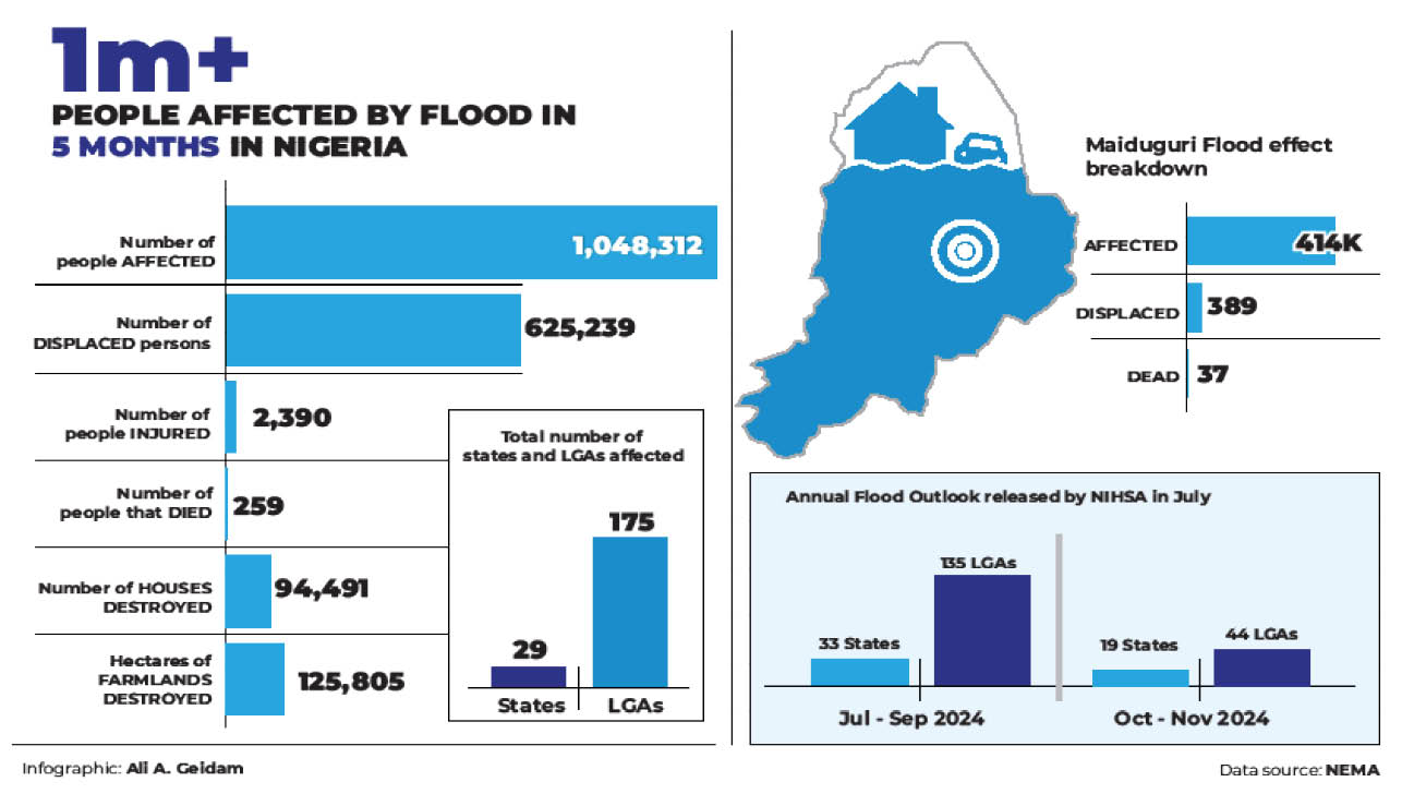 Borno flood: My wife, 5 kids still missing – Survivor