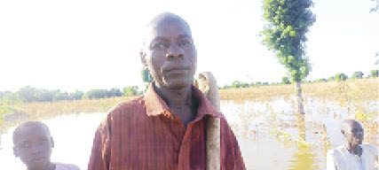 Borno rice farmers in distress as floods ravage crops