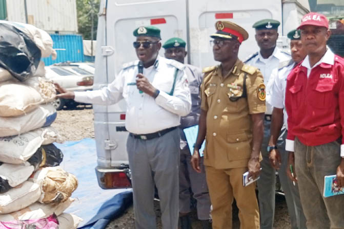 Customs hands over N519.4m worth of cannabis, 4 suspects to NDLEA