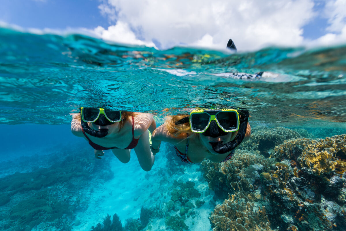 Diving and Snorkeling in Bonaire: A Paradise Beneath the Waves