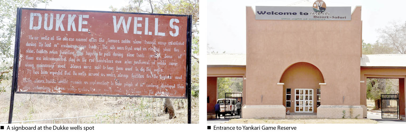 inside declining fortunes of yankari game reserve