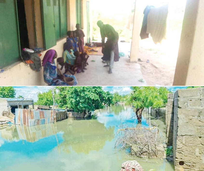 Yobe flood victims count losses, seek permanent solution