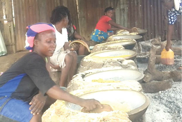 Mayo Selbe town: Where every household produces garri