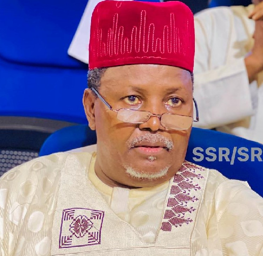 I know nothing about campaign to separate Gov Yusuf from Kwankwaso – SSG