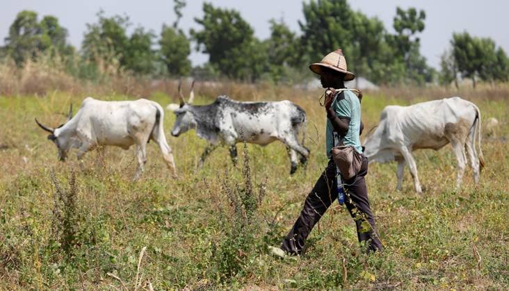 Foundation launches initiative to curb farmer-herder clashes