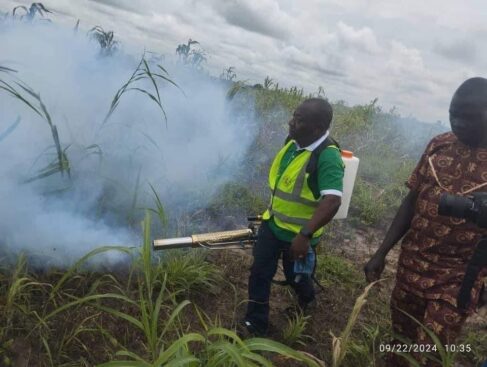 Adamawa Gov’t Launches Massive Fumigation to Combat Cholera