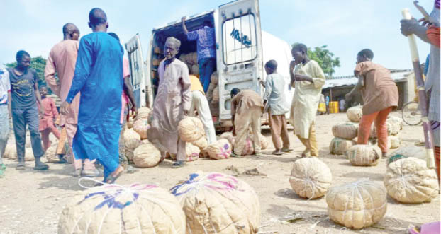 How consumption, exportation jacked up price of bitter kola