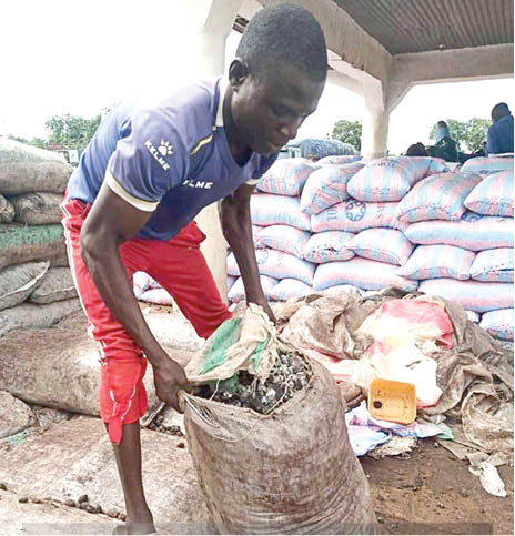 How border closure affects millet, cashew trade in Niger