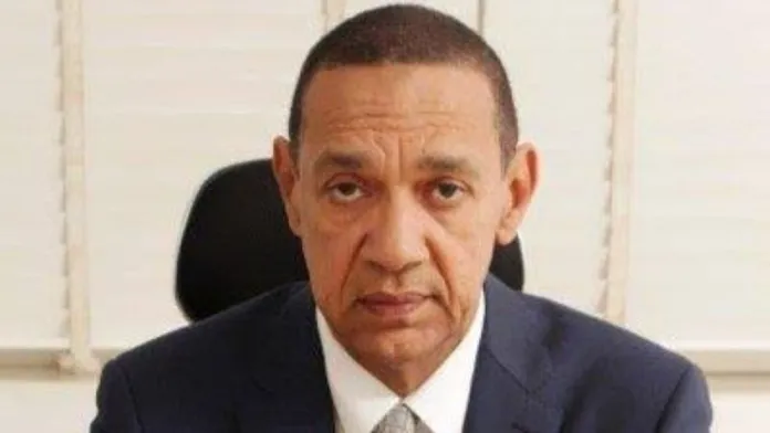 Murray-Bruce: How my South African partner defrauded me of $3.5m