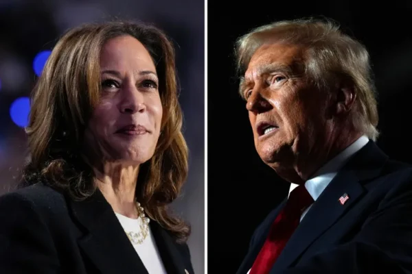 harris and trump