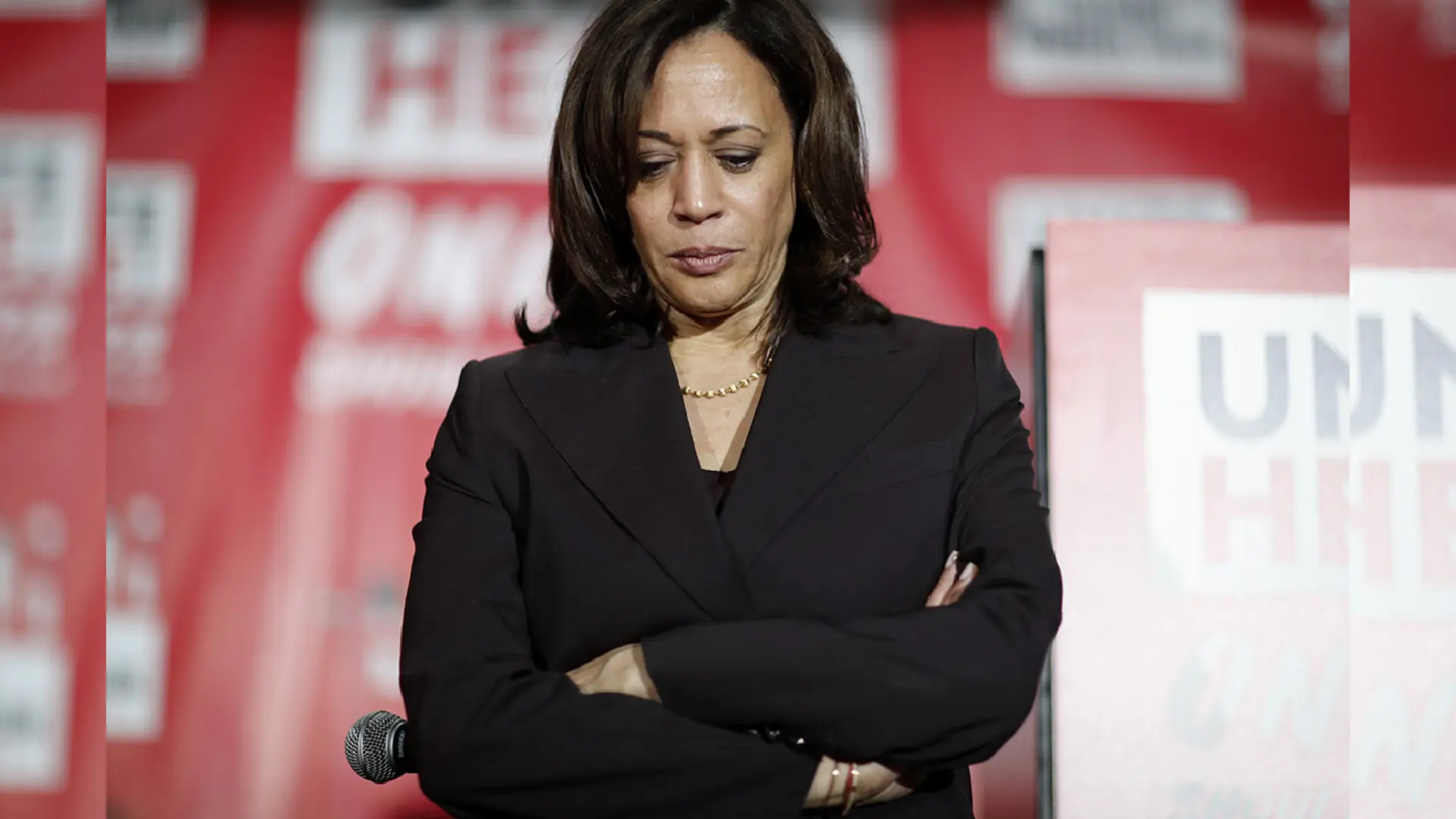 White House race Factors that worked against Kamala Harris Daily Trust