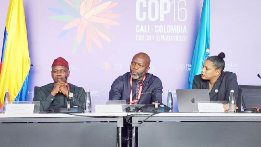 COP16: Nigeria, Global South countries makes case for international nature finance support