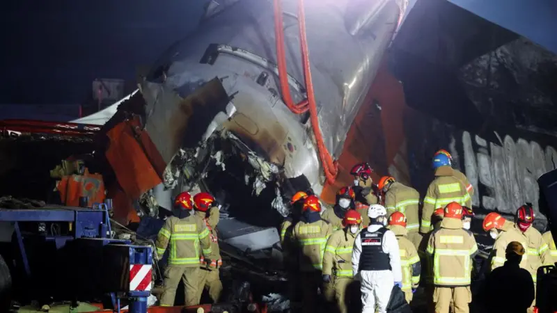 167 killed as plane bursts into flames in South Korea