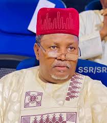 Kano sacked SSG still on suspension – NNPP