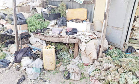 Inside Gombe’s herbal medicine market