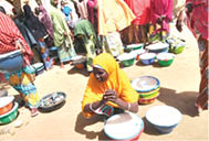 Inside Kano’s 15m-litre cow milk business