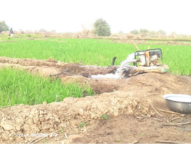 Water pumping machine theft, high fuel, input costs worry farmers