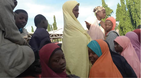 Gombe out-of-school children turn labourers