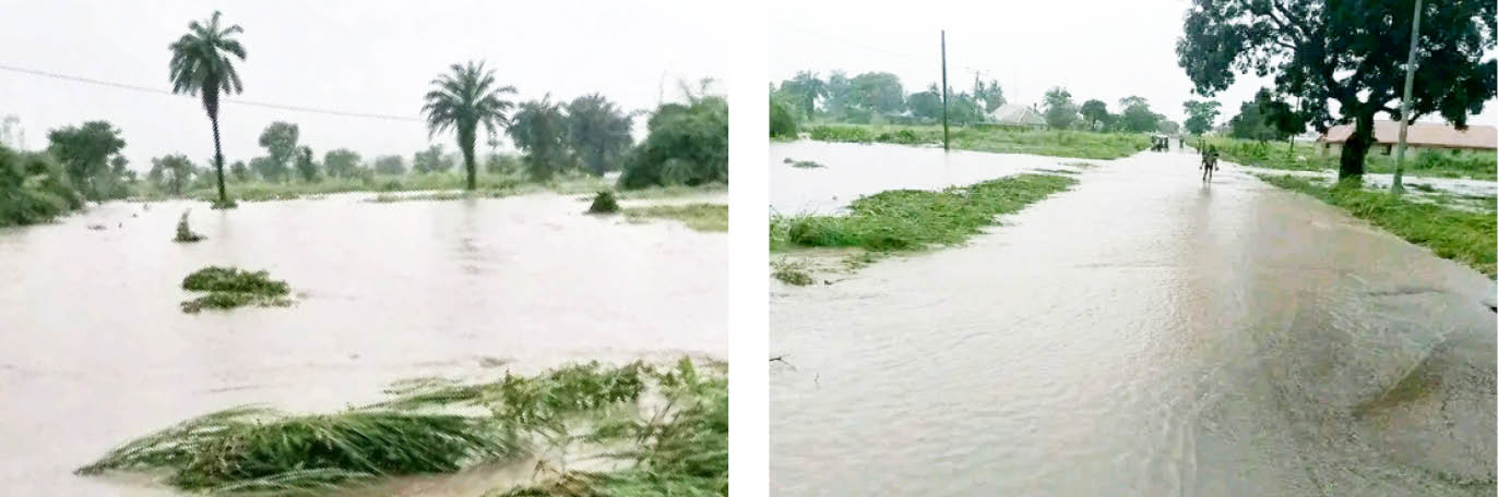 Flood: Benue residents recount losses, advocate early proactive measures