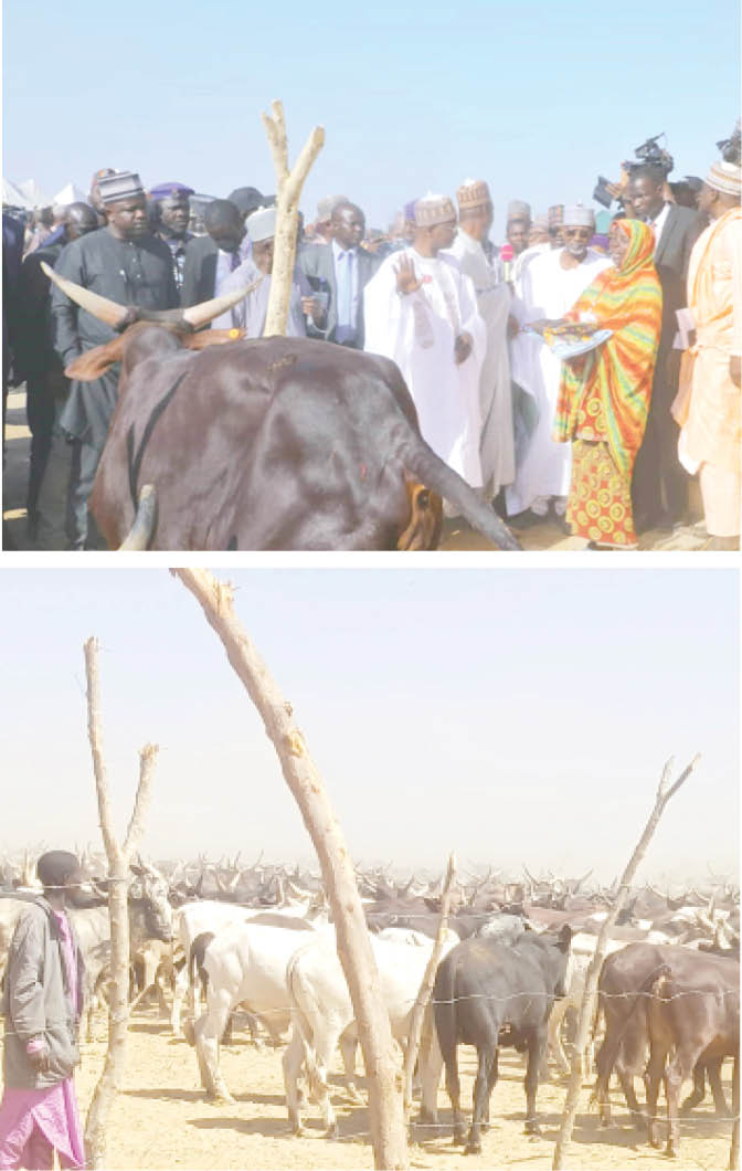 Minister, Jega commend Zulum over ranches for herders