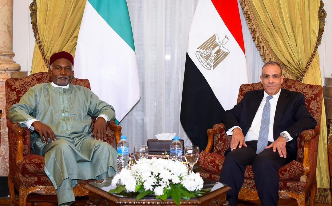 Nigeria, Egypt elevate relationship to comprehensive partnership