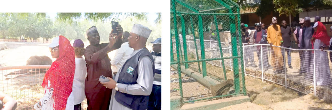 5 months after flooding, Maiduguri Zoo reopens with more animals