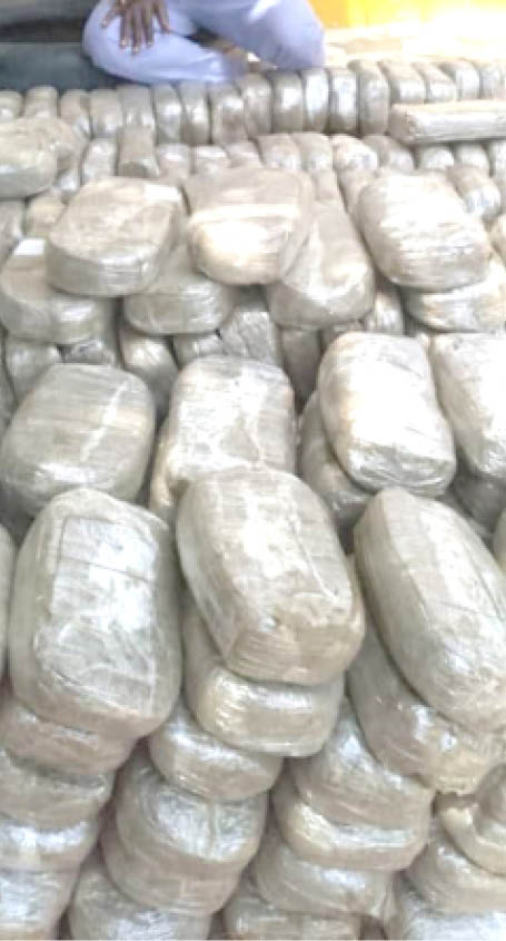 Police arrest man with Indian hemp worth N12.6m