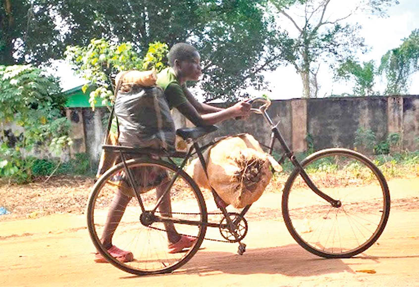 women returning from the farm2